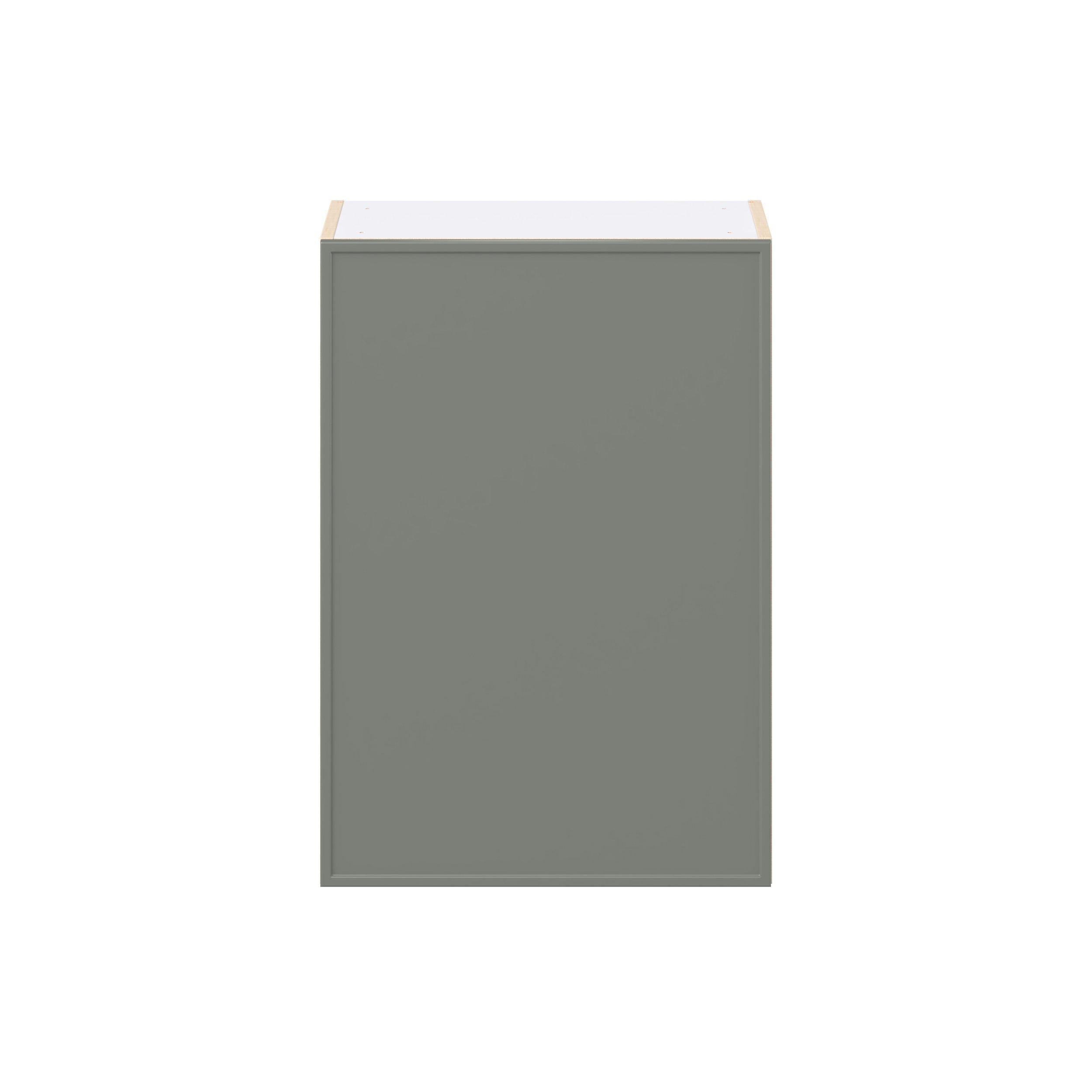 Linden 21 in. Painted Moss Green Door Wall Cabinet