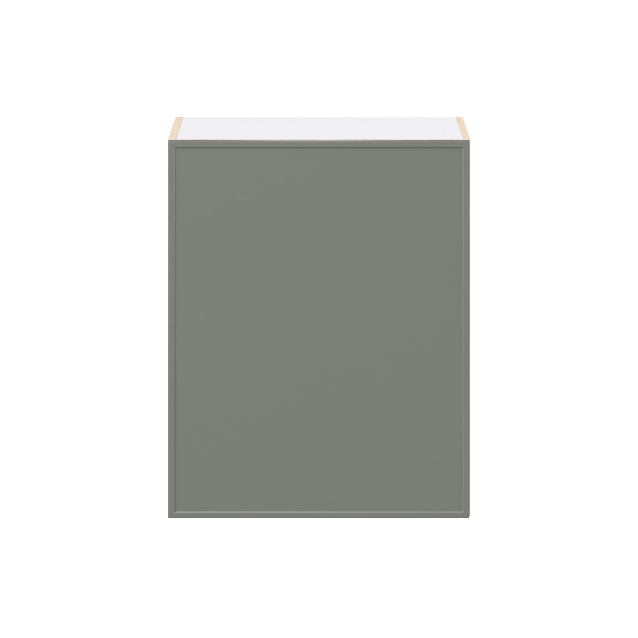 Linden 24 in. Painted Moss Green Door Wall Cabinet