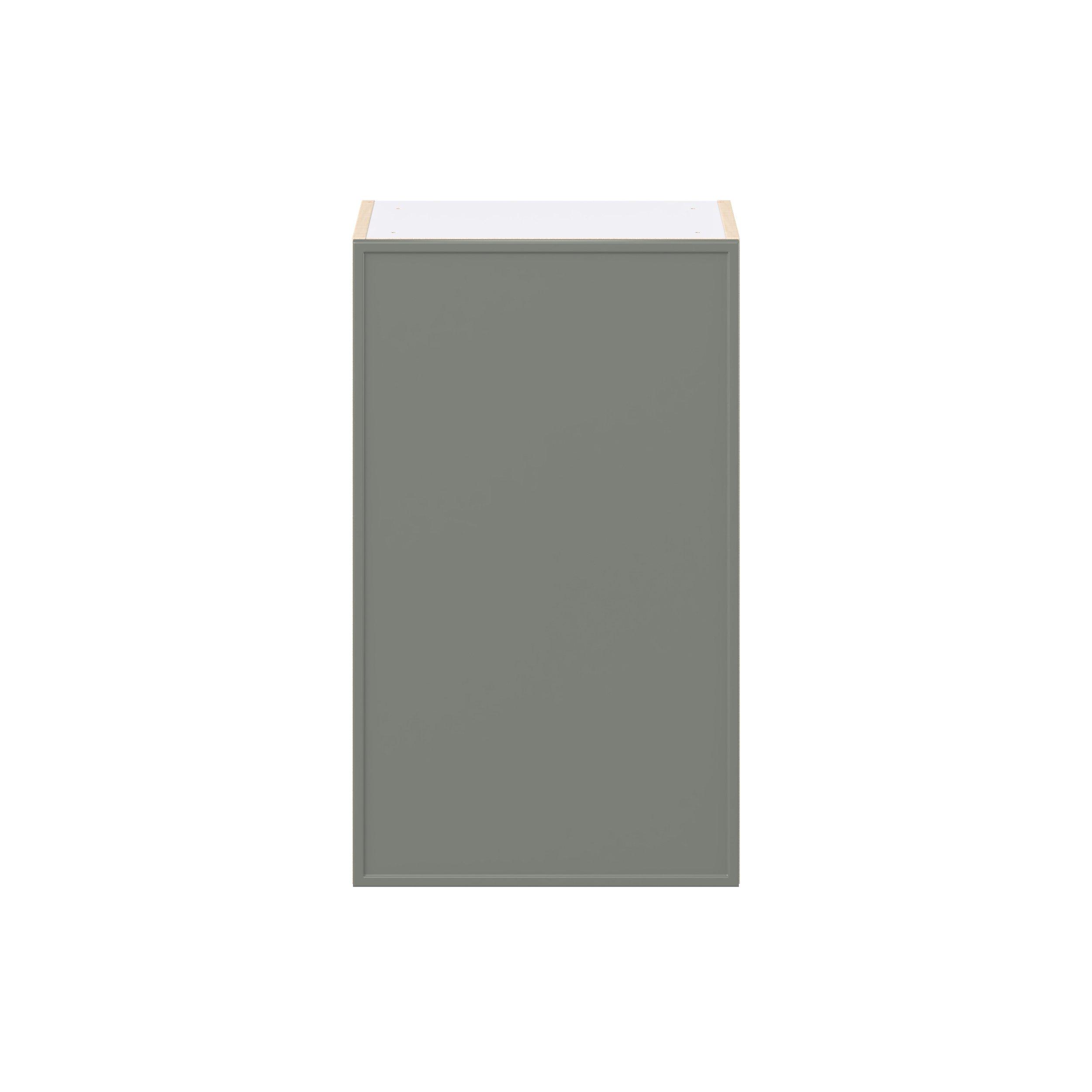 Linden 18 in. Painted Moss Green Door Wall Cabinet