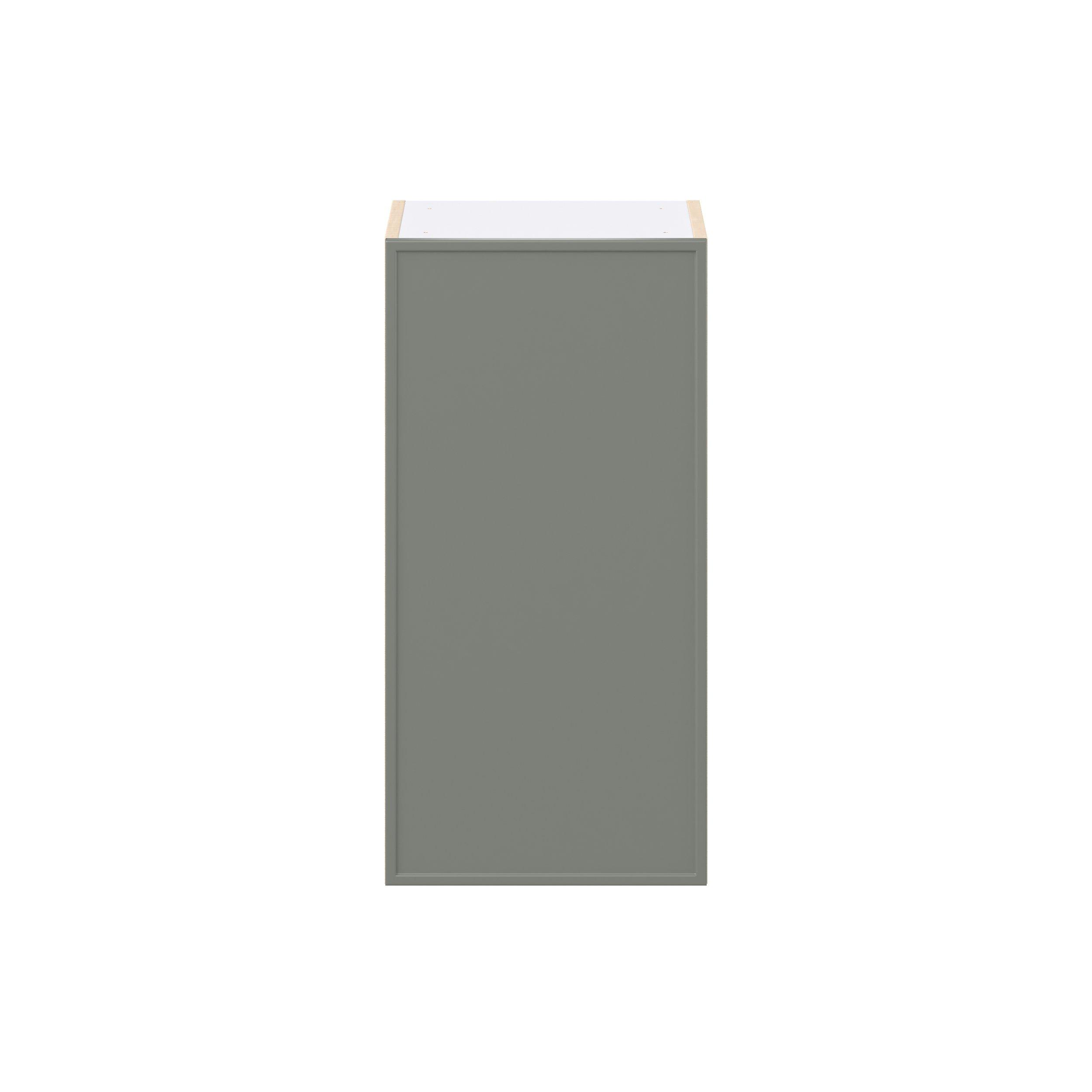 Linden 15 in. Painted Moss Green Door Wall Cabinet