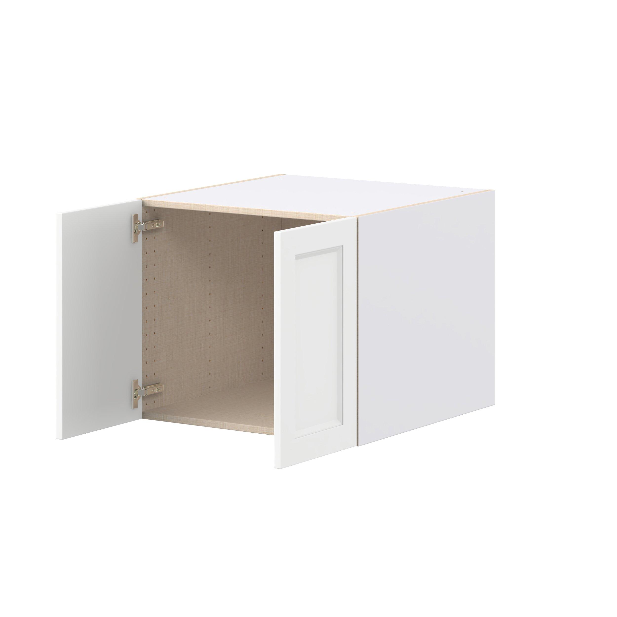 Peachtree 24 in. Painted Bright White Bridge Wall Cabinet
