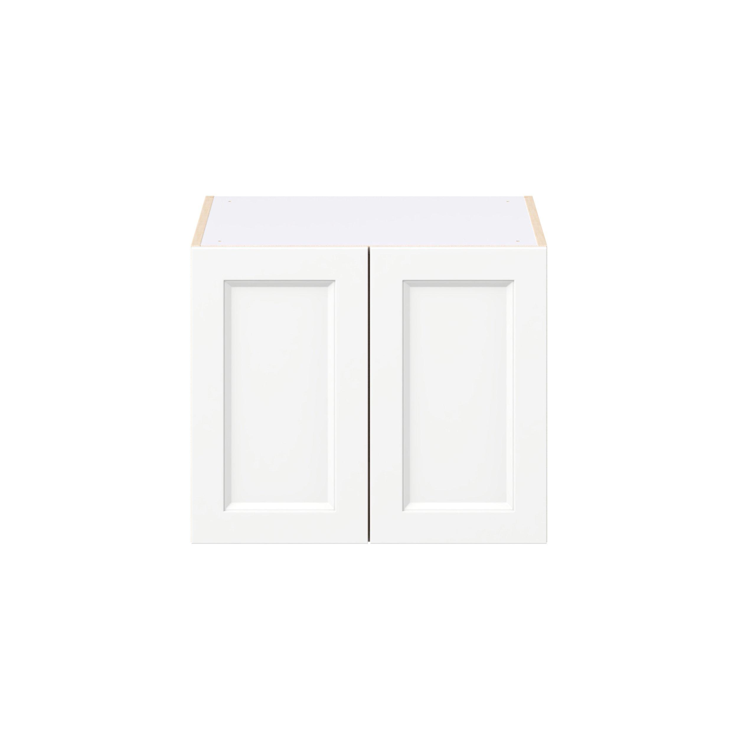 Peachtree 24 in. Painted Bright White Bridge Wall Cabinet