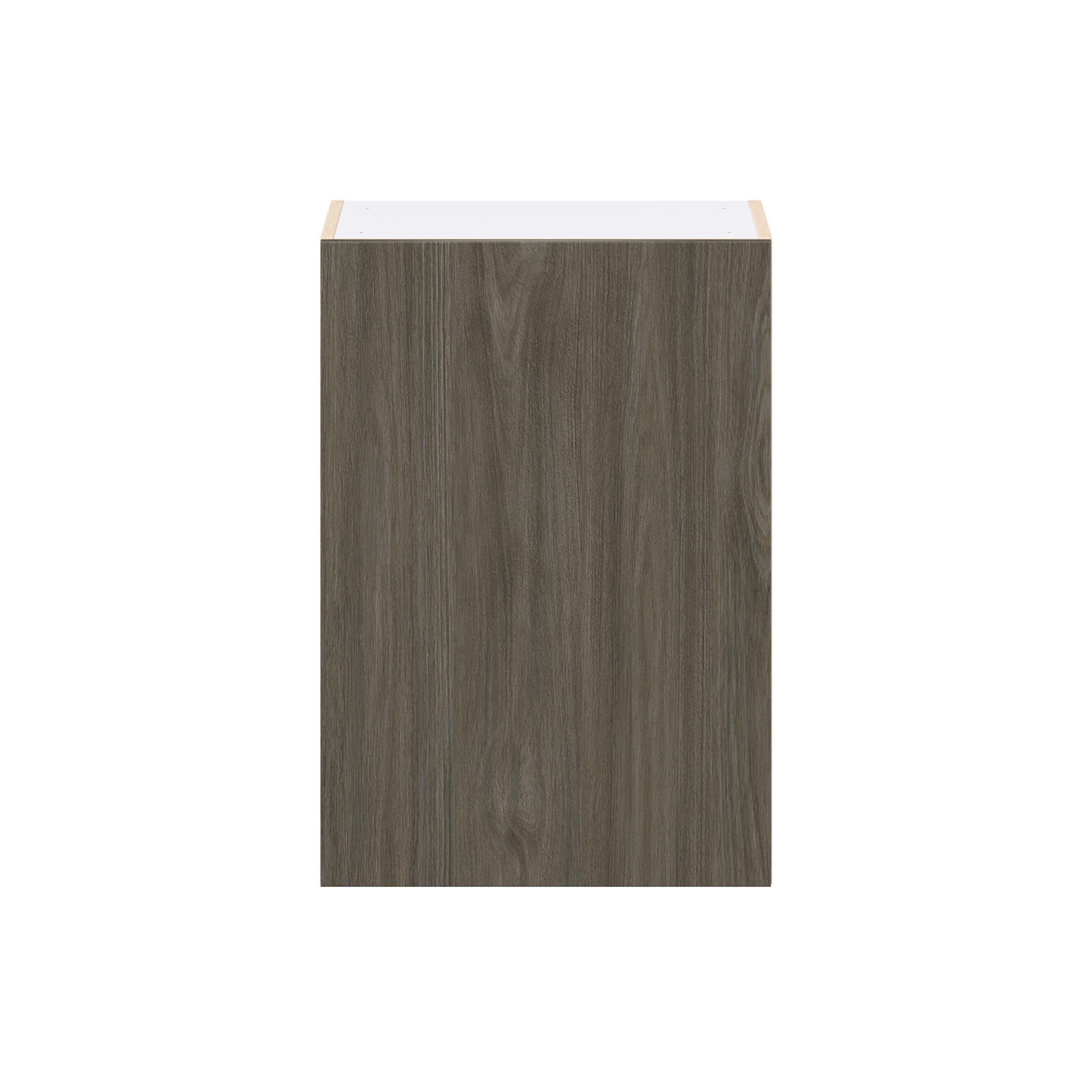 Glenwood 21 in. Burnt Walnut Door Wall Cabinet