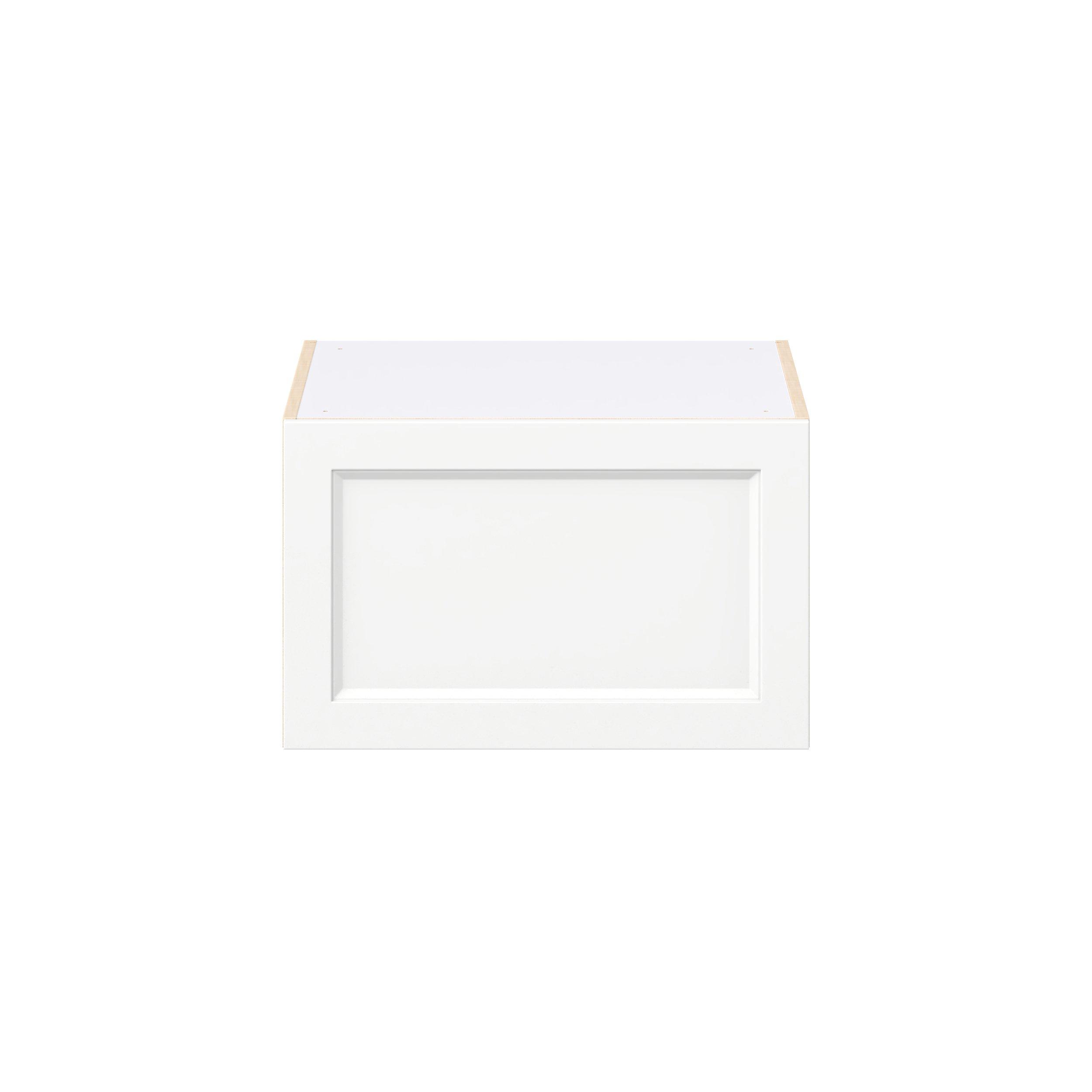 Peachtree 24 in. Painted Bright White Lift Up Wall Cabinet