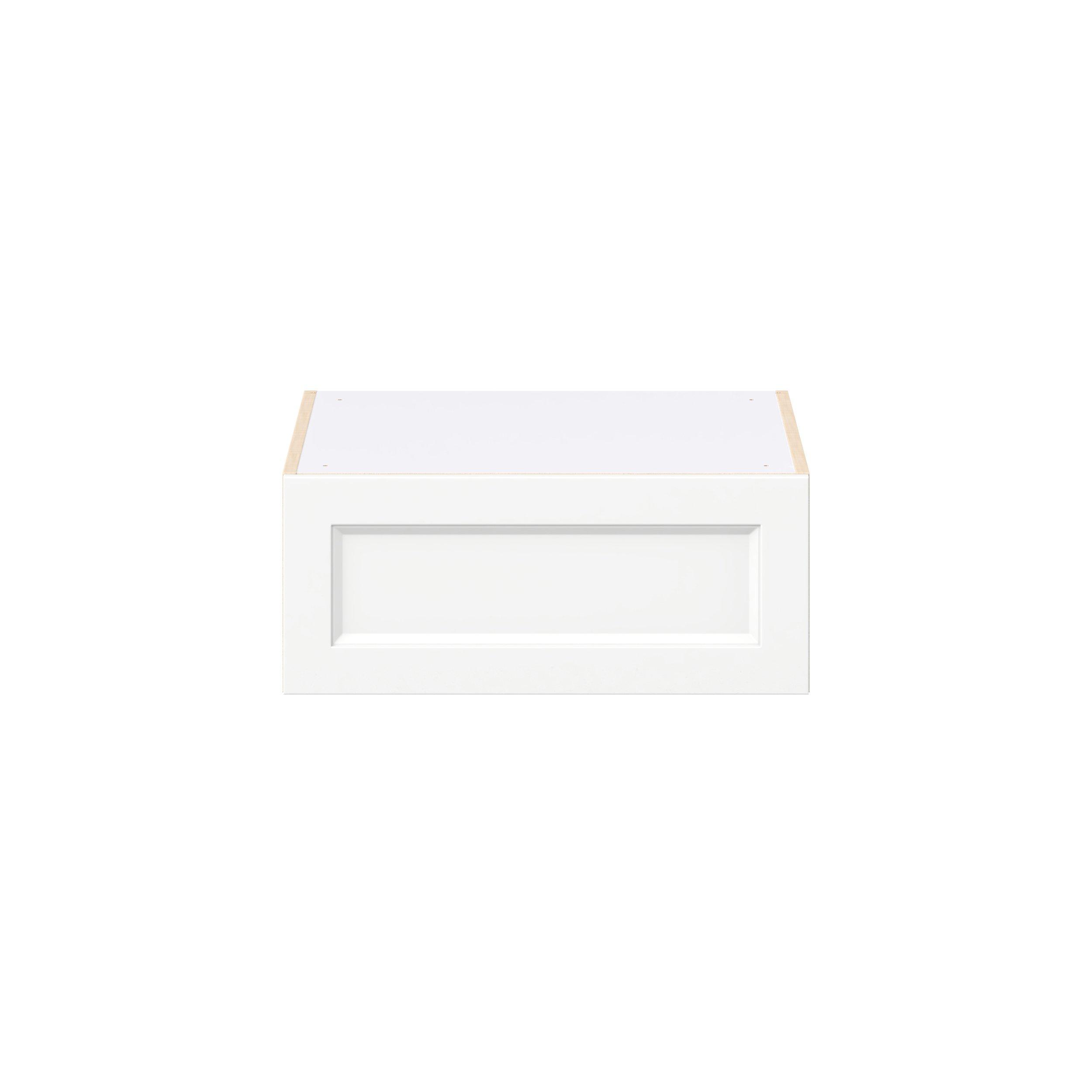 Peachtree 24 in. Painted Bright White Lift Up Wall Cabinet