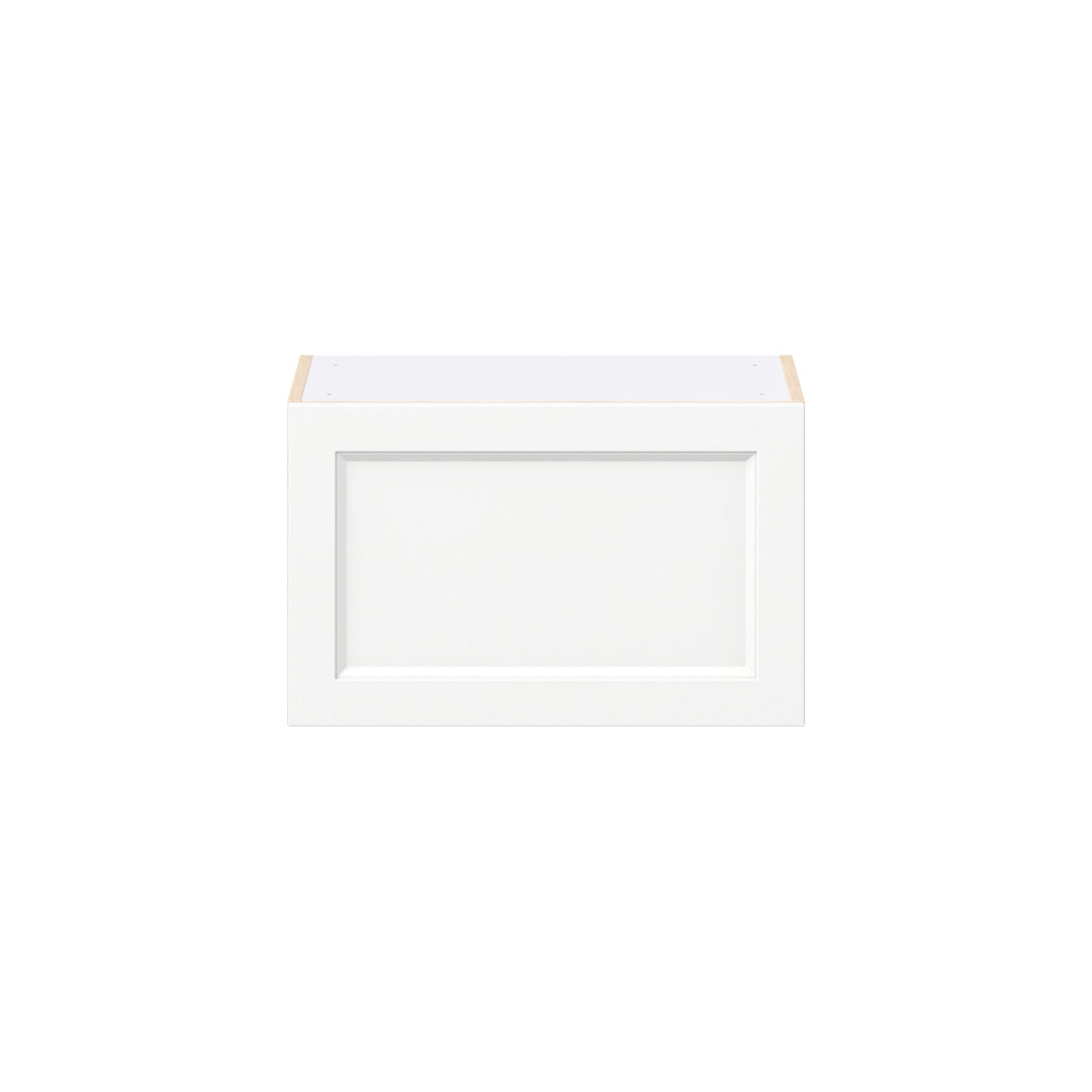 Peachtree 24 in. Painted Bright White Lift Up Wall Cabinet