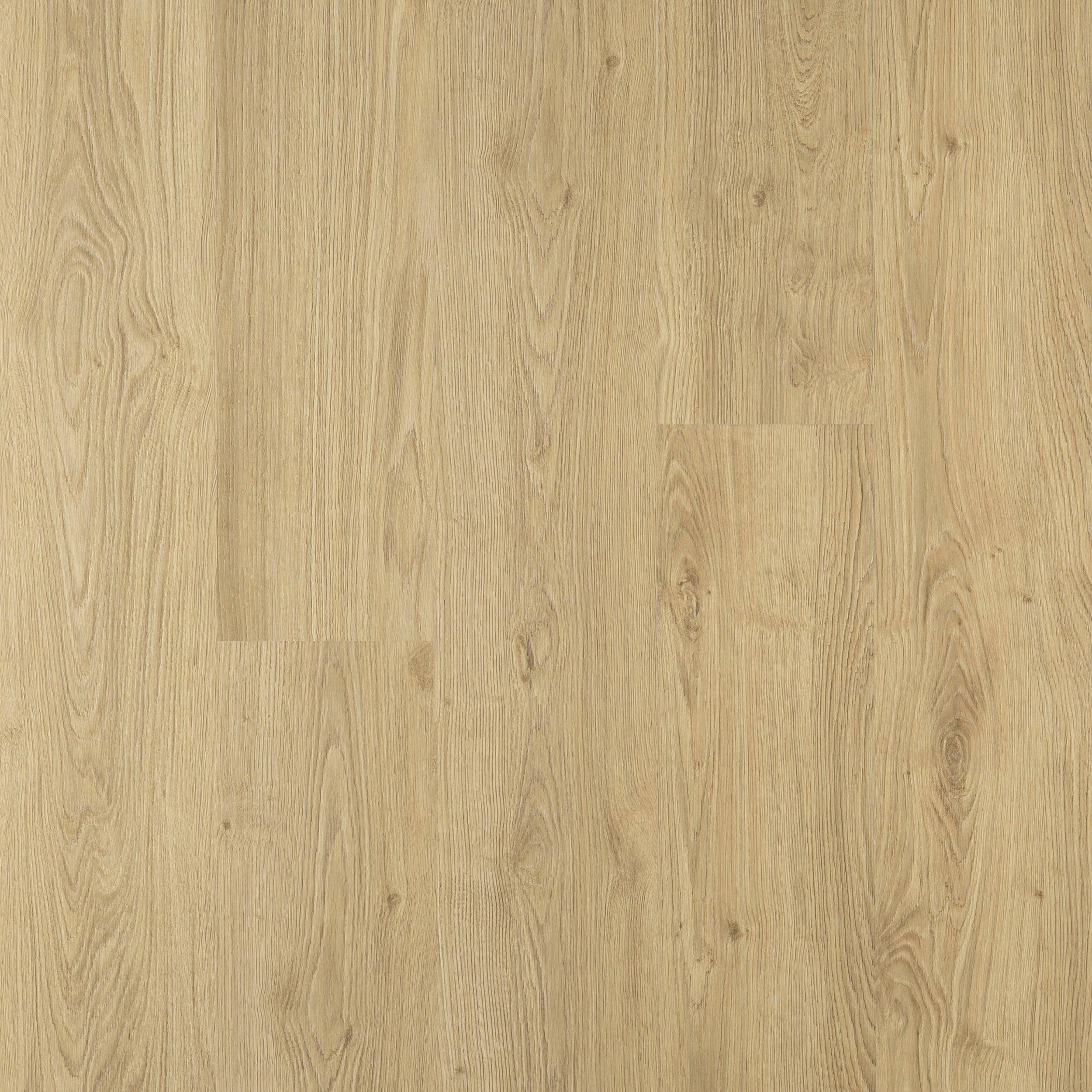 Voyager Trail Traditional Laminate Plank