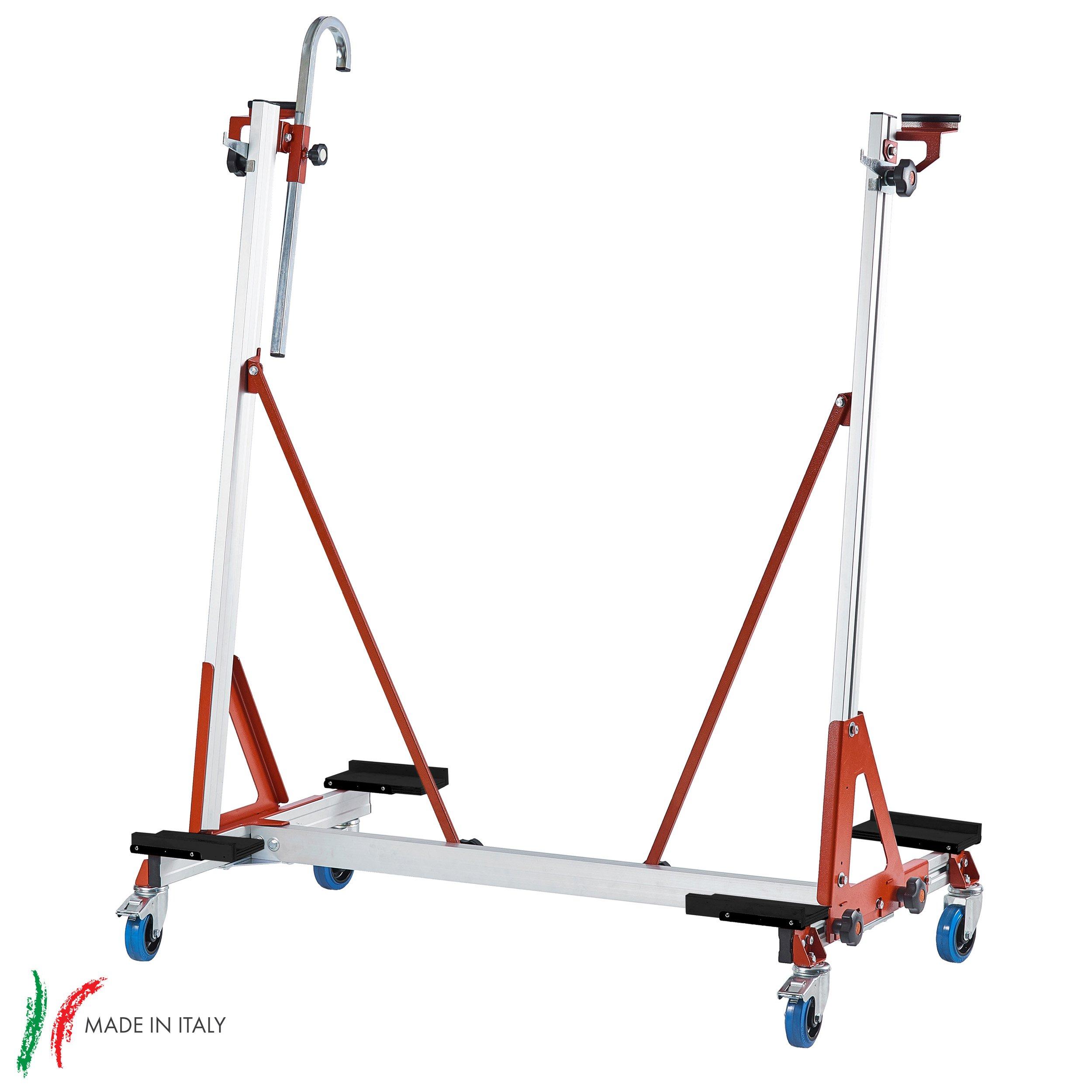 Raimondi LFT Cart