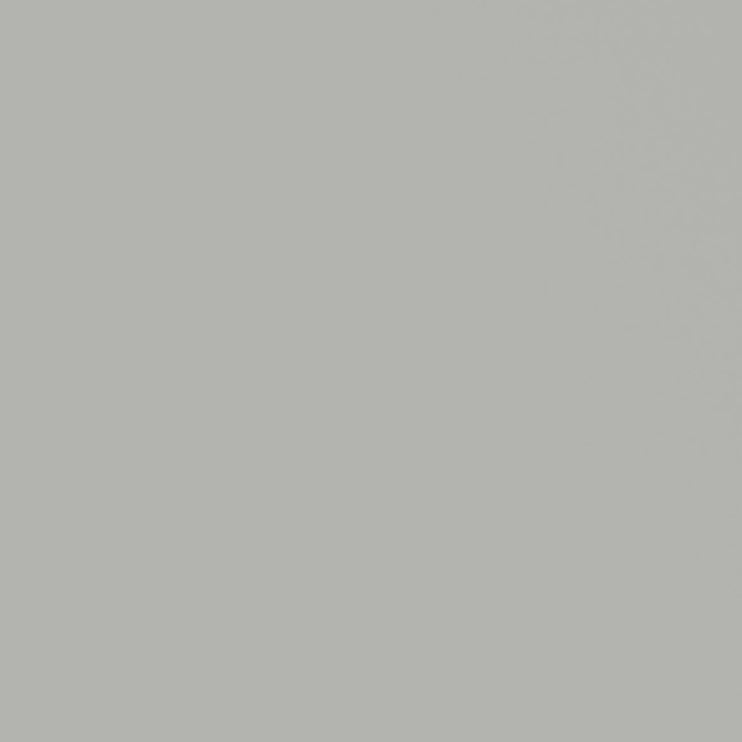 Baxley Painted Whisper Gray Cabinet Chip Color Sample