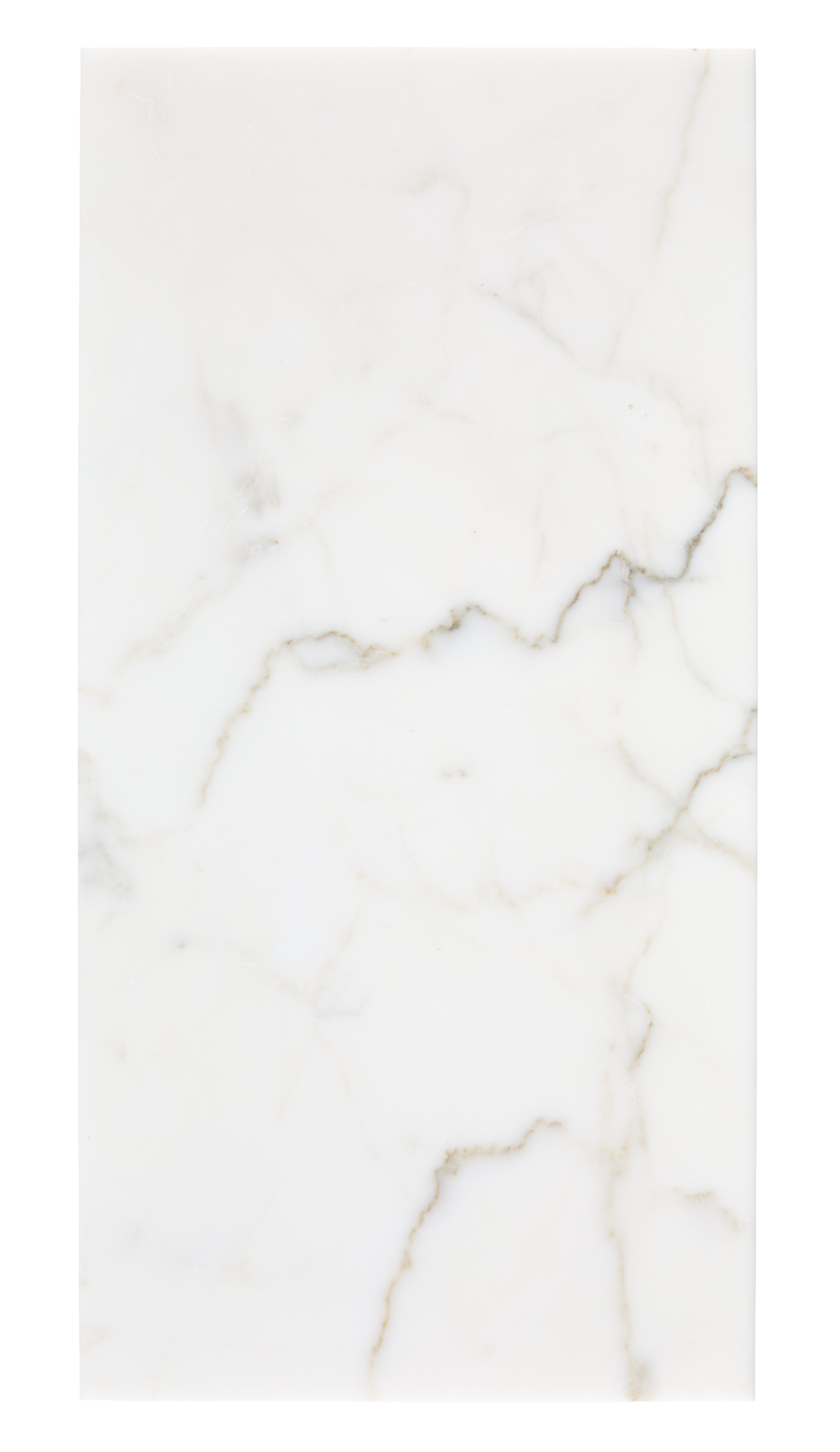 Calacatta Premium Honed Marble Tile