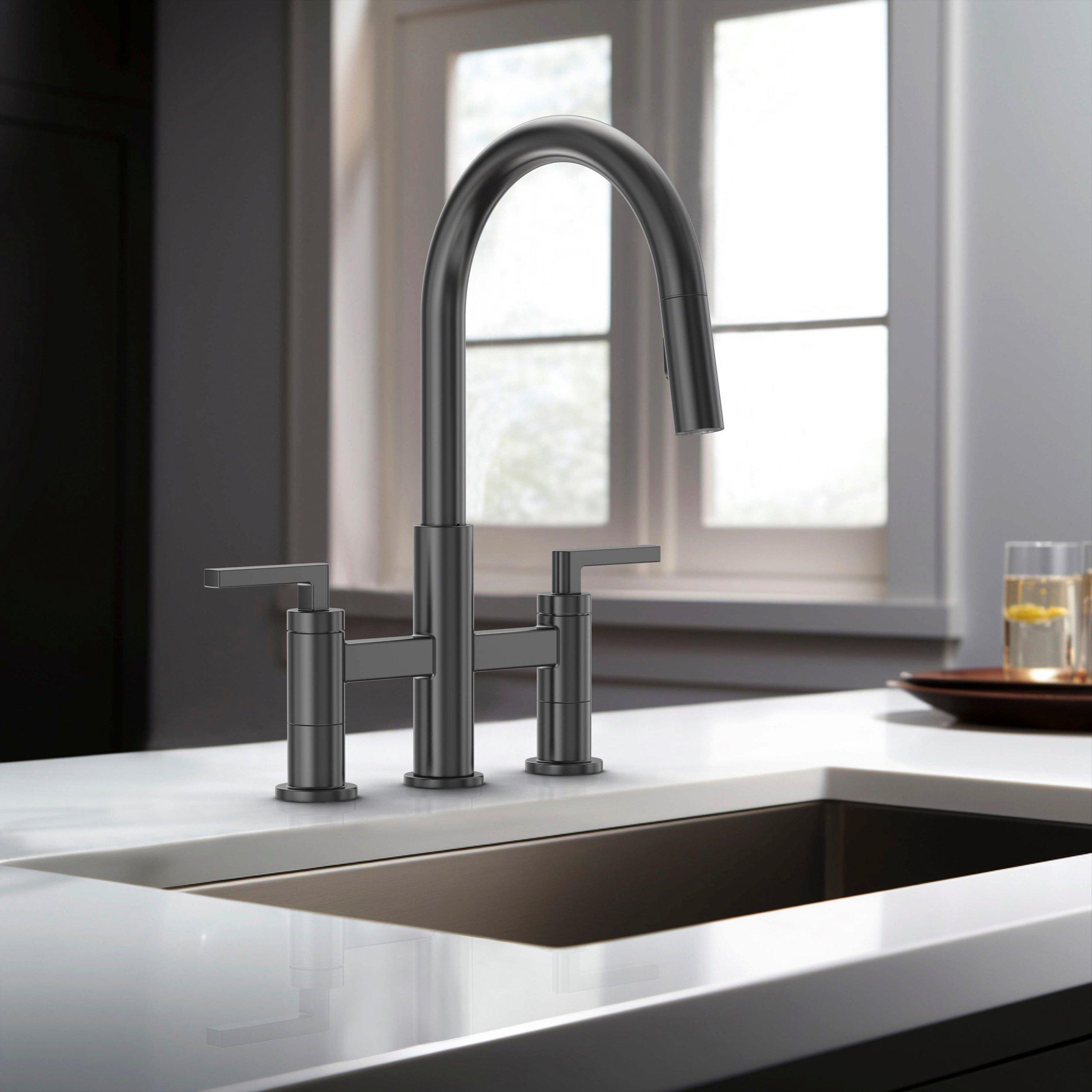 Asher Bridge Matte Black Kitchen Faucet