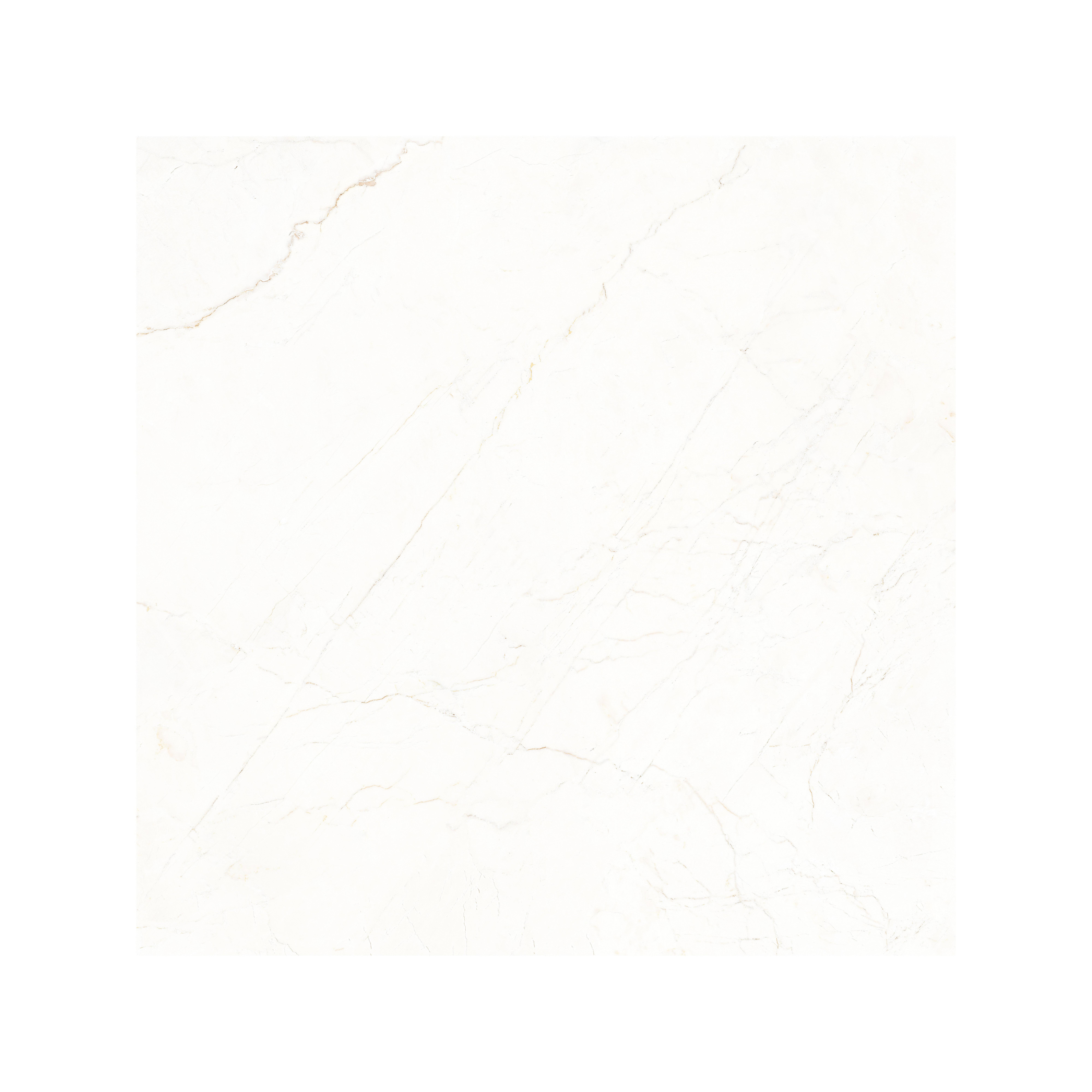 Marmo Bianco Matte Porcelain Tile