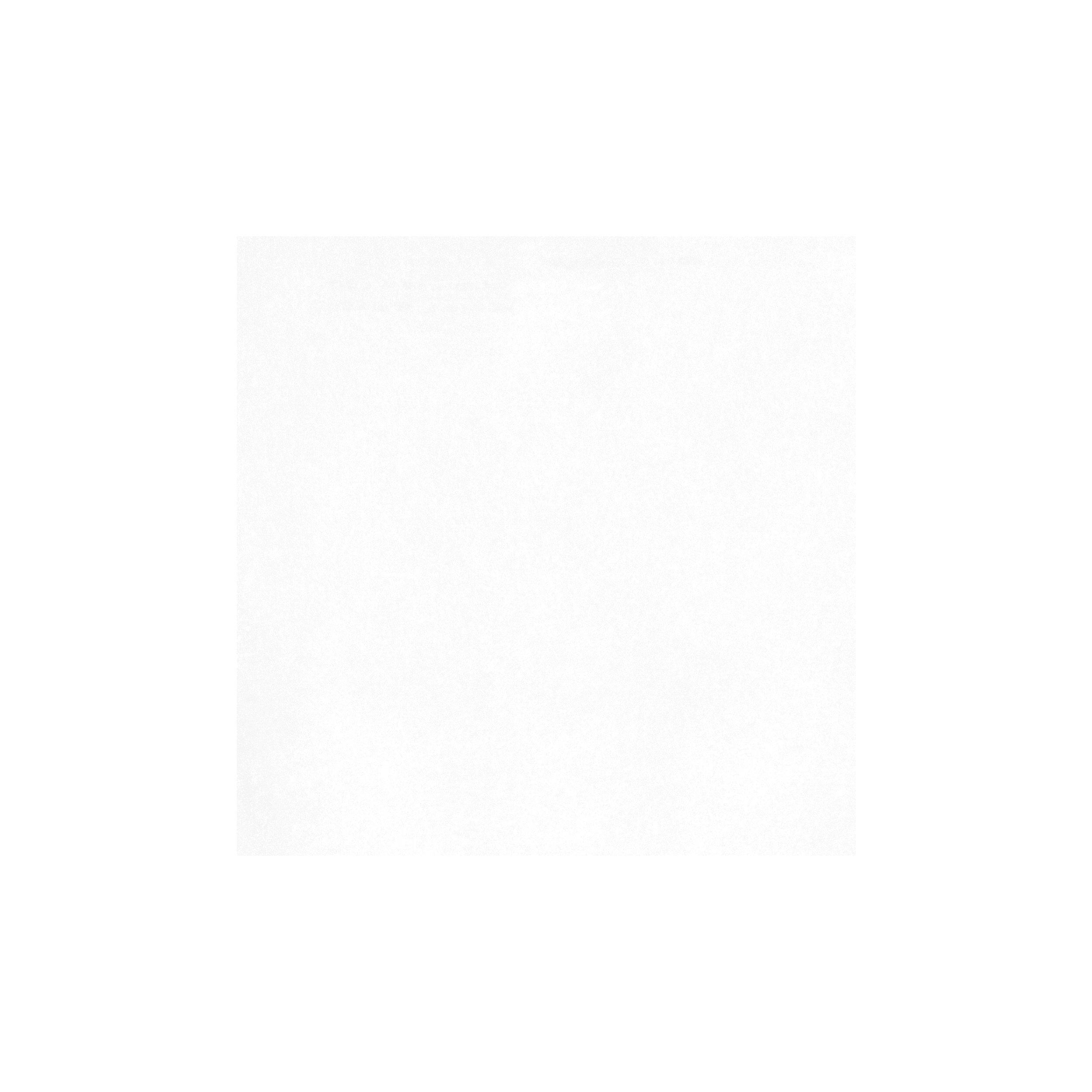 Luxe Frost Matte Porcelain Tile