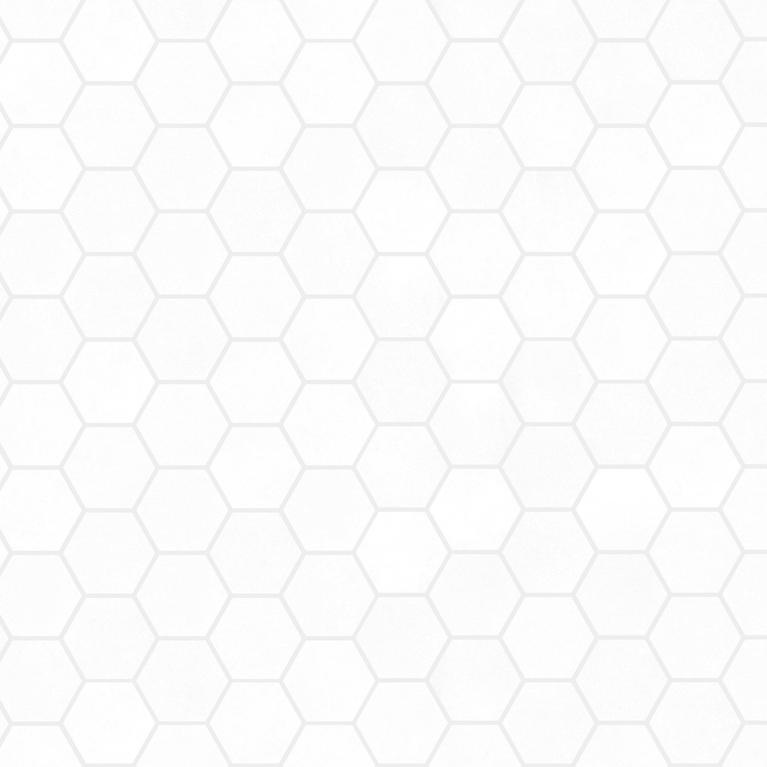 Luxe Frost Hexagon Matte Porcelain Mosaic