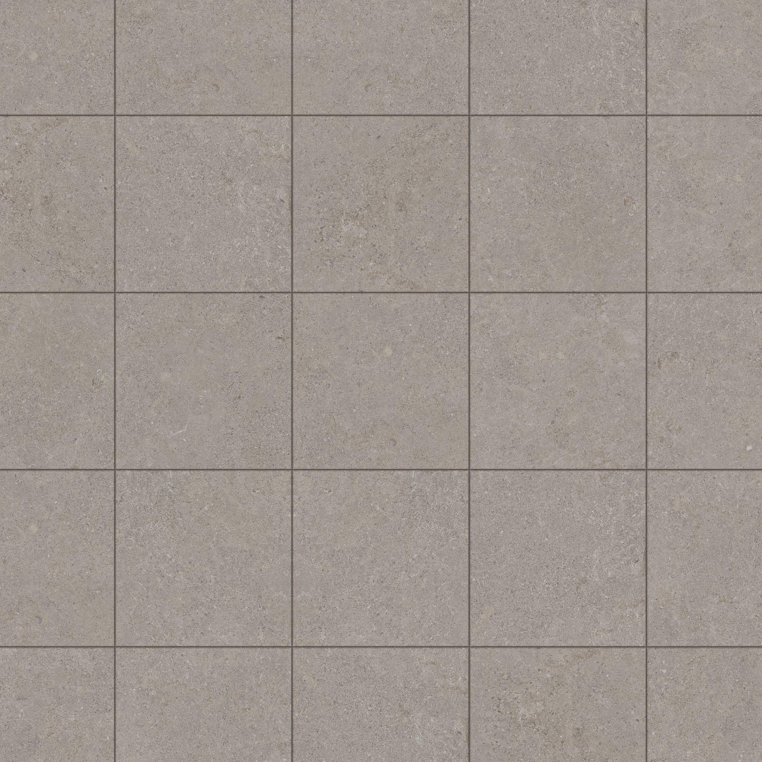 Capri Porcini Matte Porcelain Tile