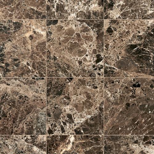 Dark Emperador Classic Marble Tile 12 X 12 921100524 Floor And Decor