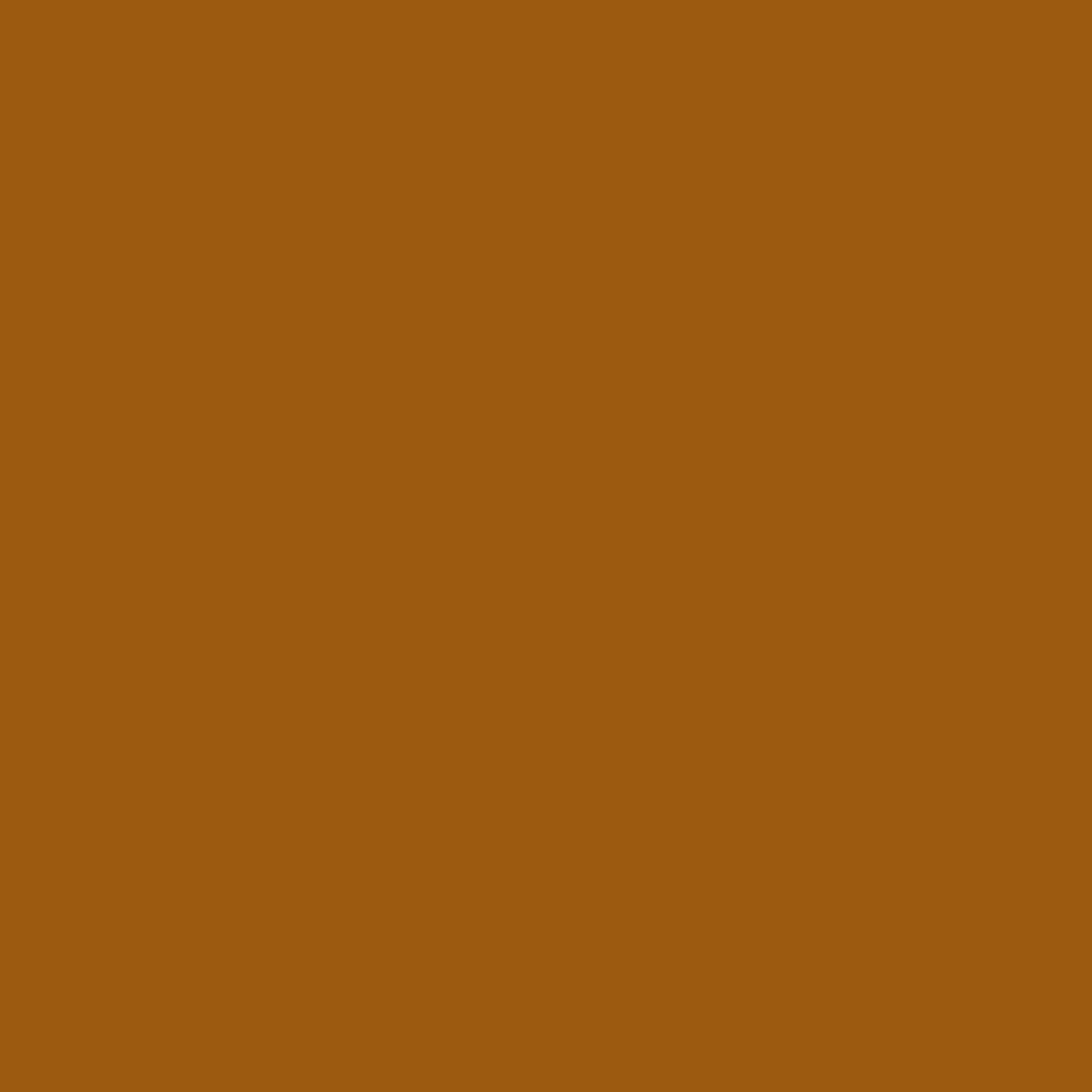 Minwax Early American Wood Putty