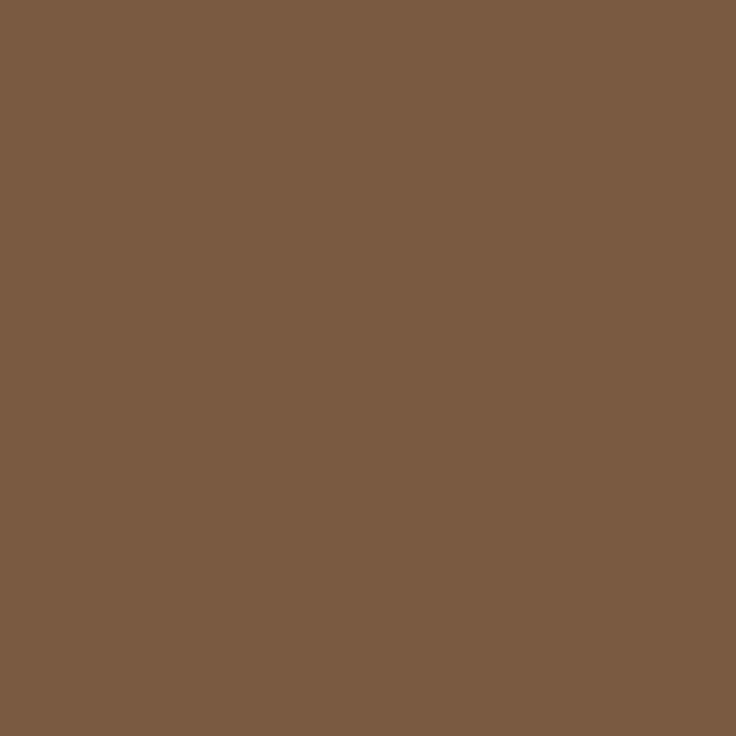 Minwax Walnut Wood Putty