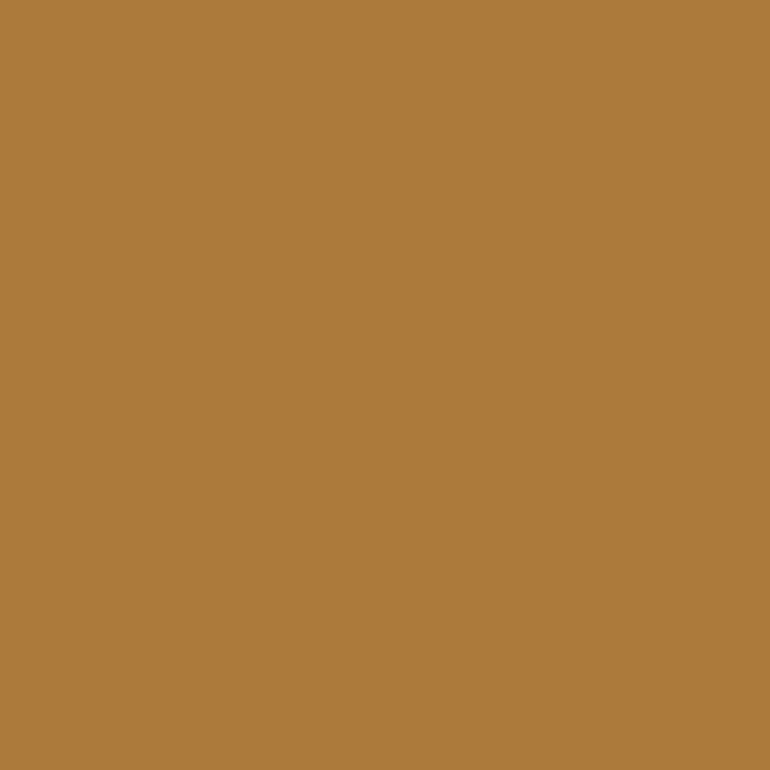 Minwax Golden Oak Wood Putty