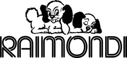 Raimondi