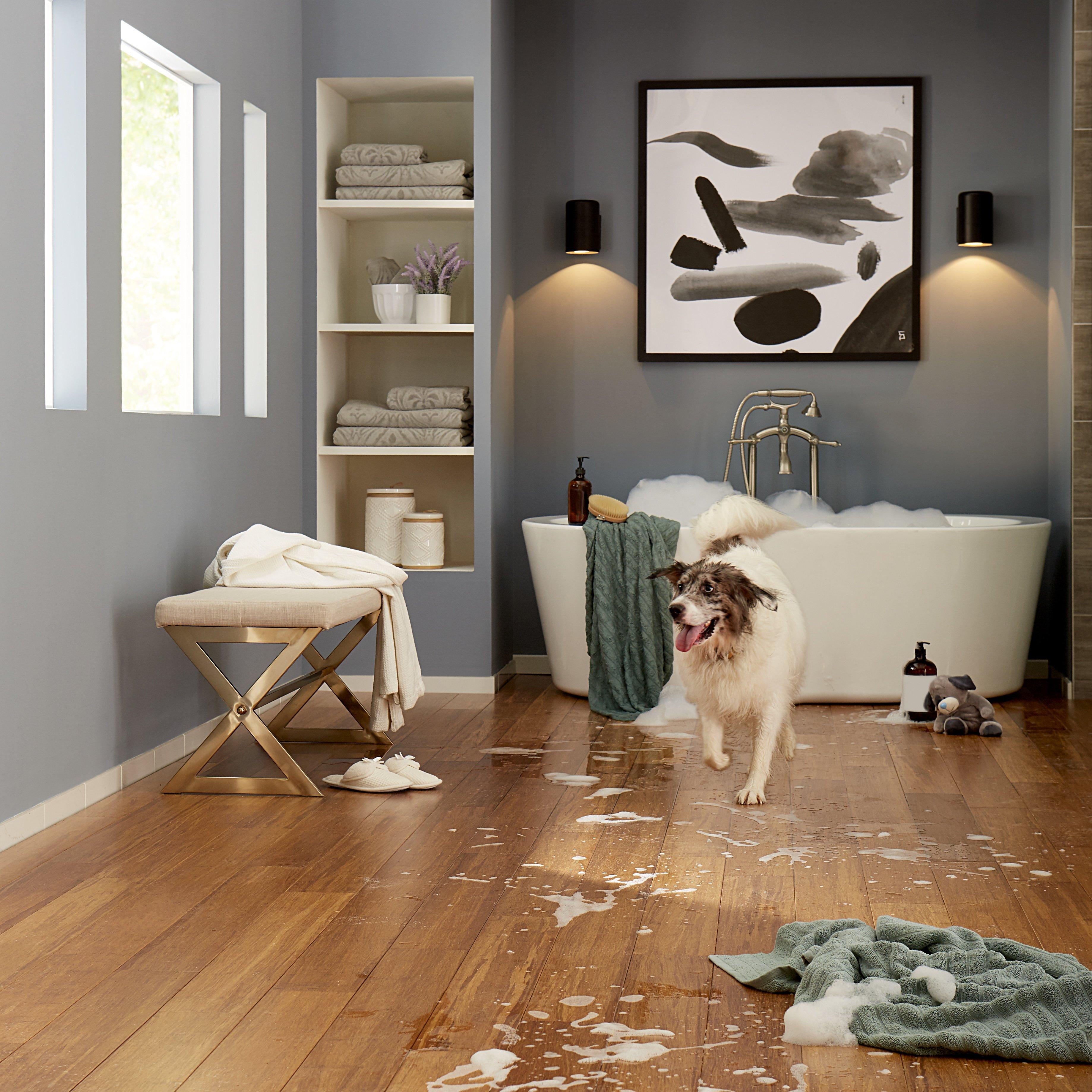 The 5 Best Dog-Friendly Flooring Options