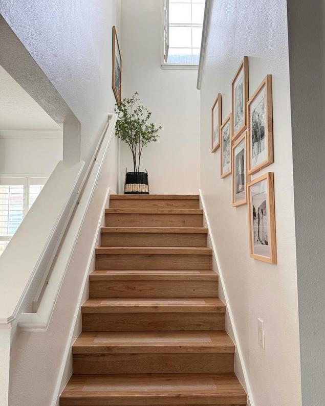 View from the entryway of a staircase with medium blonde wood stair treads.