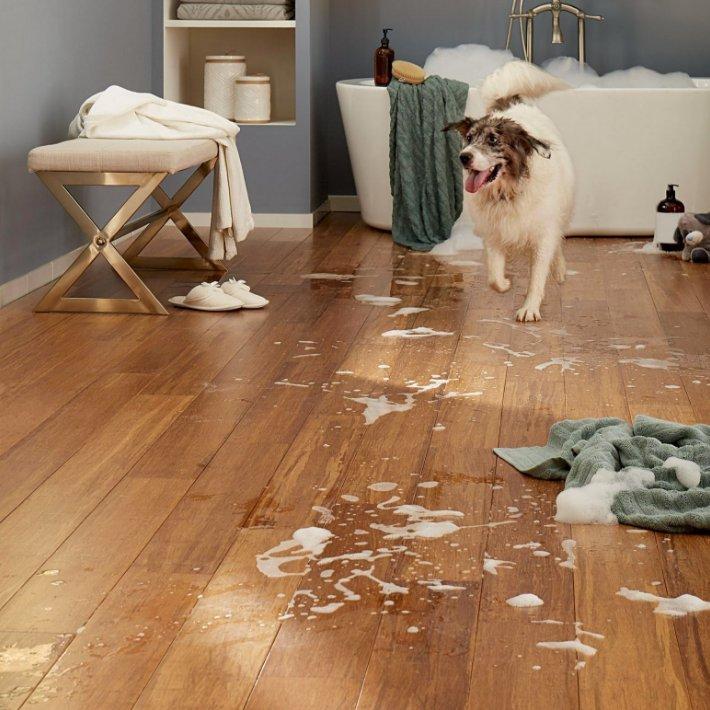 Pet Friendly Vinyl & Resilient Flooring