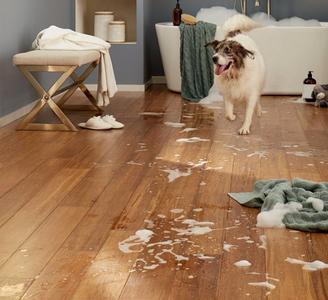 Pet-Friendly Flooring Buying Guide
