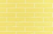 Gold/ Yellow