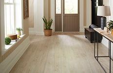 Hybrid Resilient Hybrid Resilient