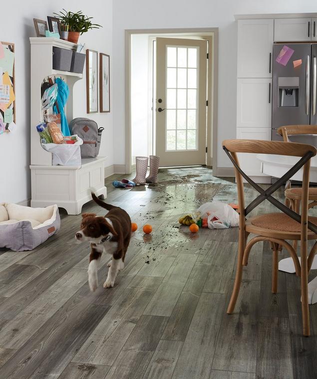 DogFriendly Floors
