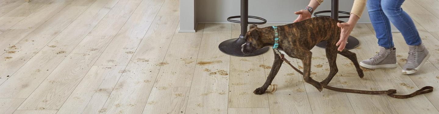 Pet Friendly Flooring