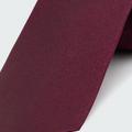 Product thumbnail 2 Red tie - Solid Design from Indochino Collection