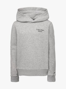 Small Institutional Logo Hoodie