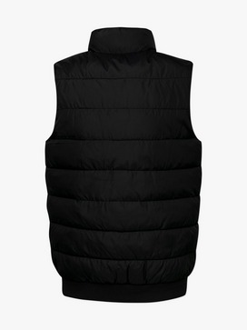 Small Institutional Logo Gilet