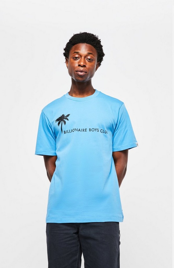 Palm Graphic Short Sleeve T-Shirt