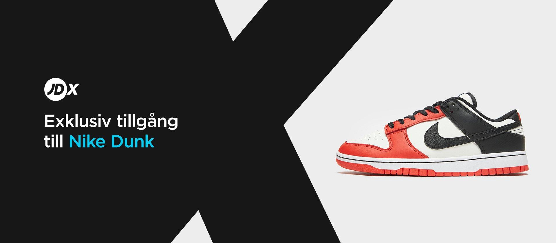 Nike Dunk Low Retro EMB