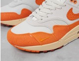 Nike Air Max 1 Women's