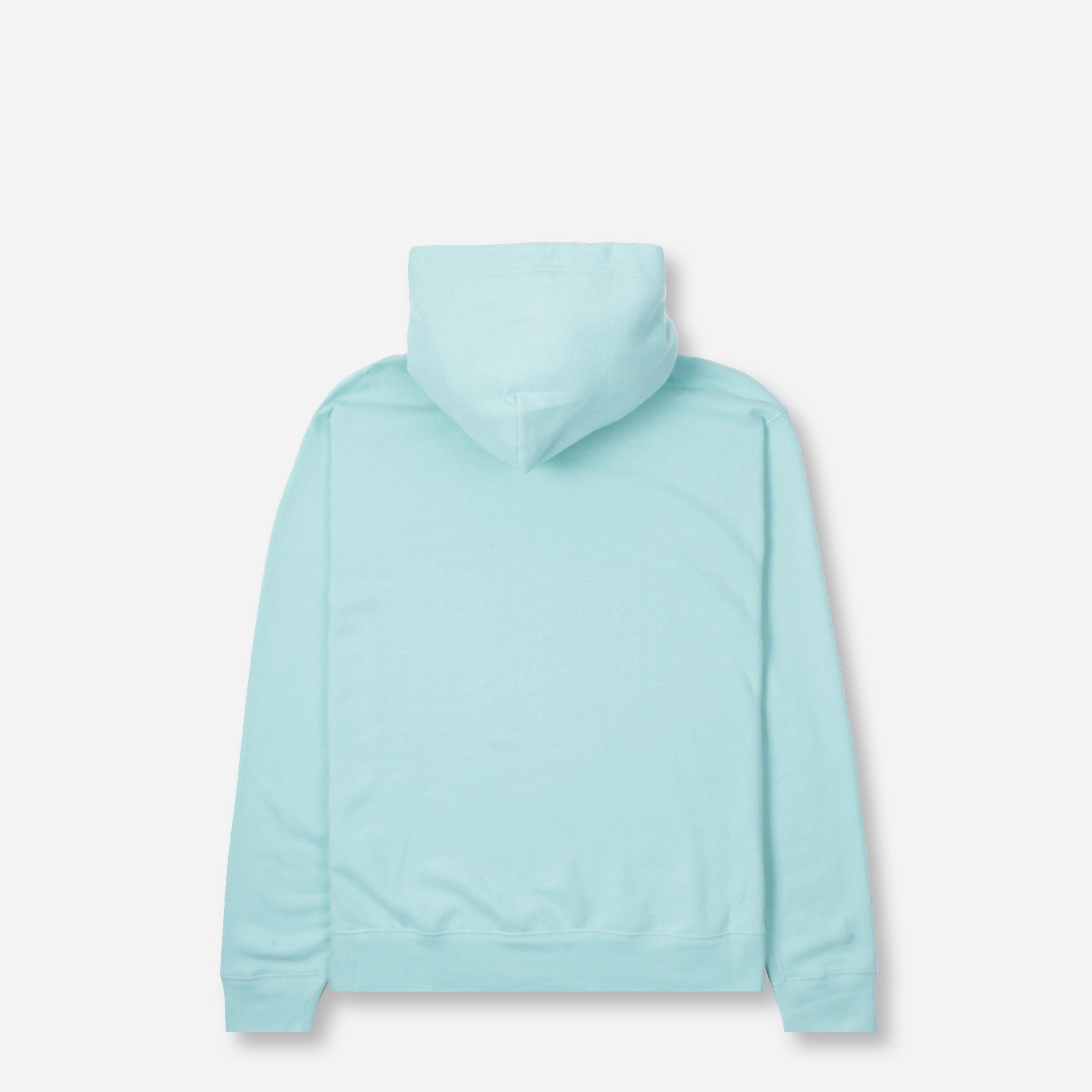 ralph lauren overhead hoodie