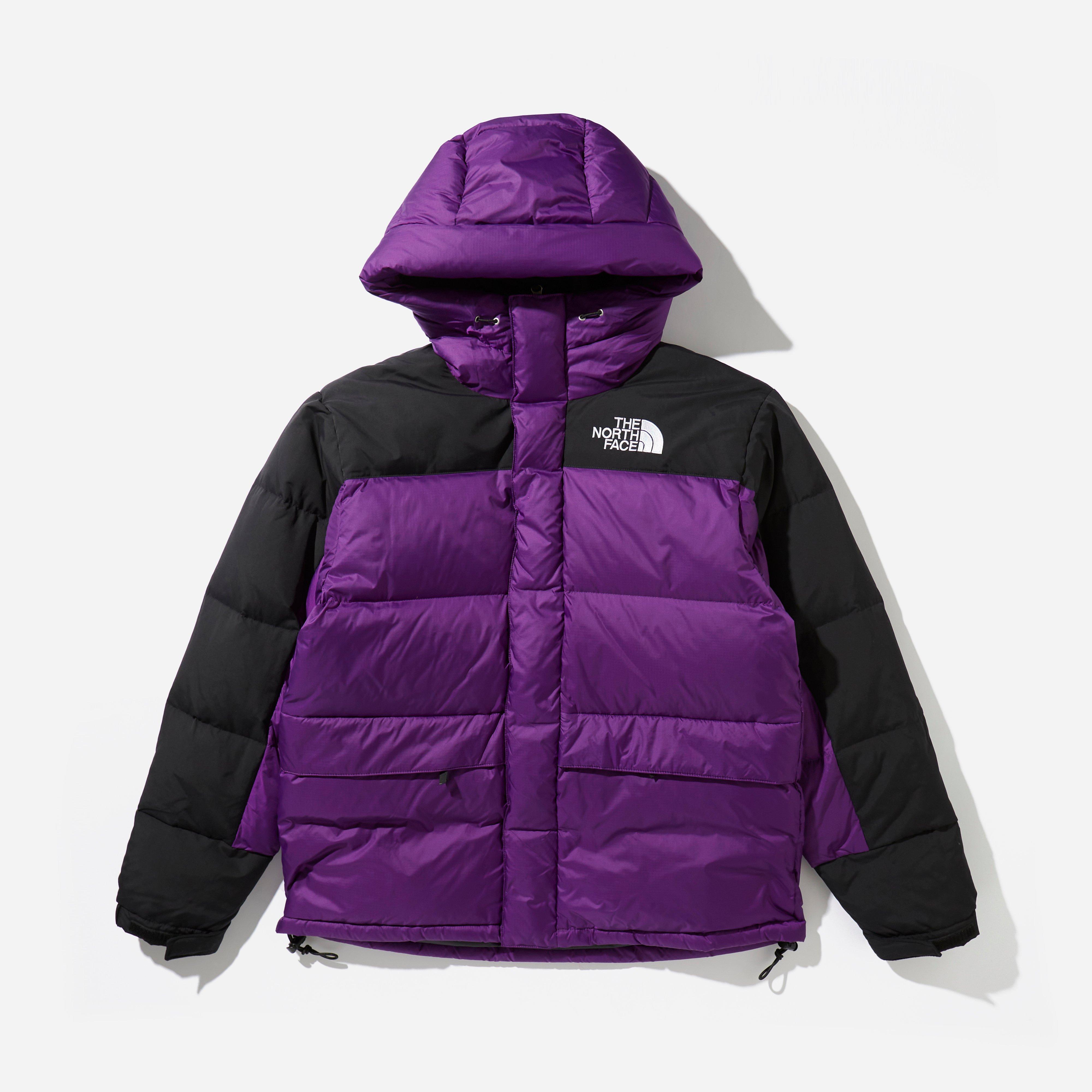 the north face himalayan down