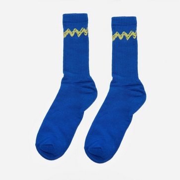 TSPTR Charlie Brown Socks