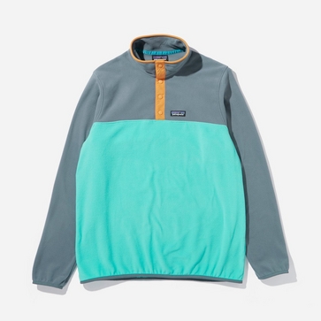 Patagonia Micro D Snap-T Fleece Pullover