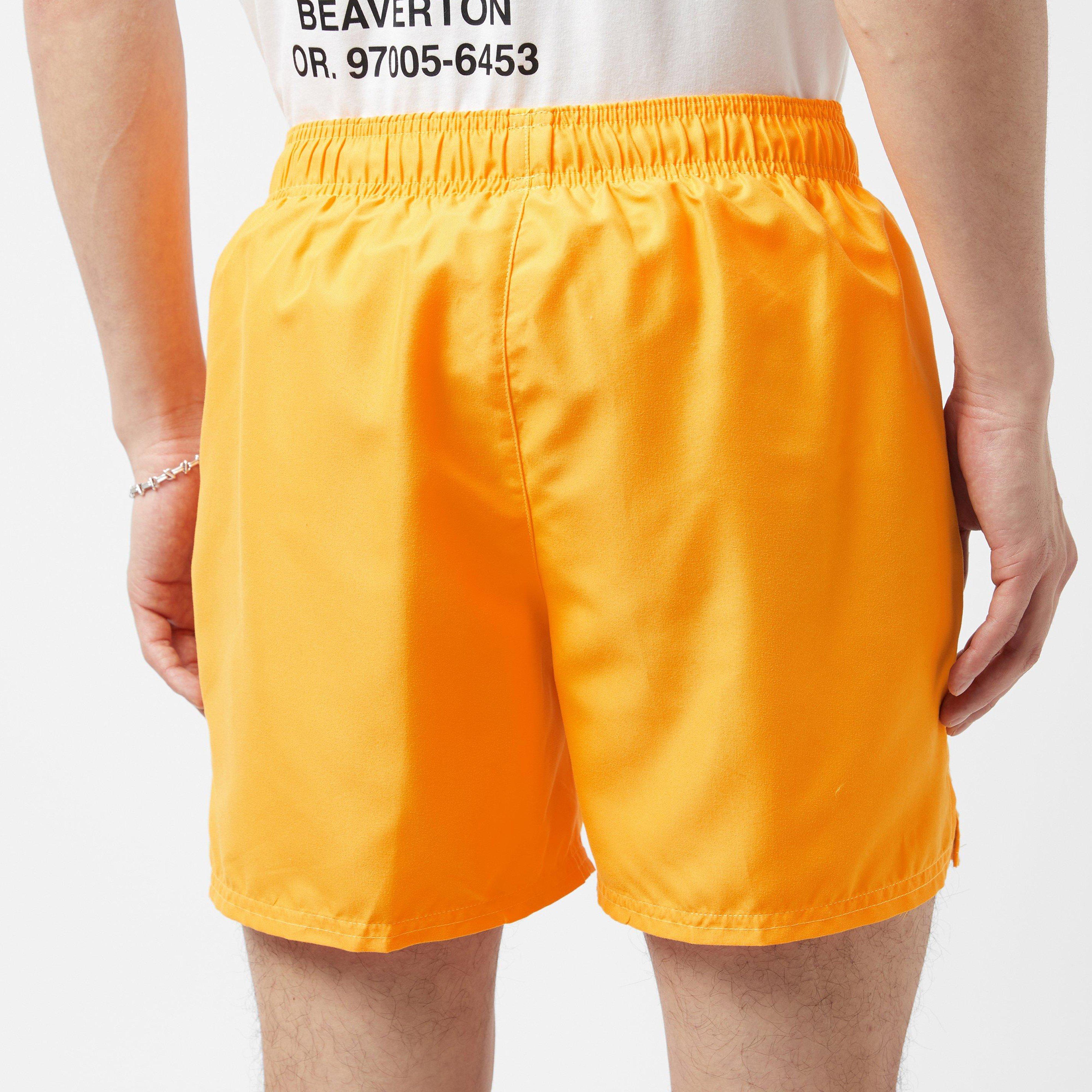 Nike Swim Essential 5" Volley Shorts