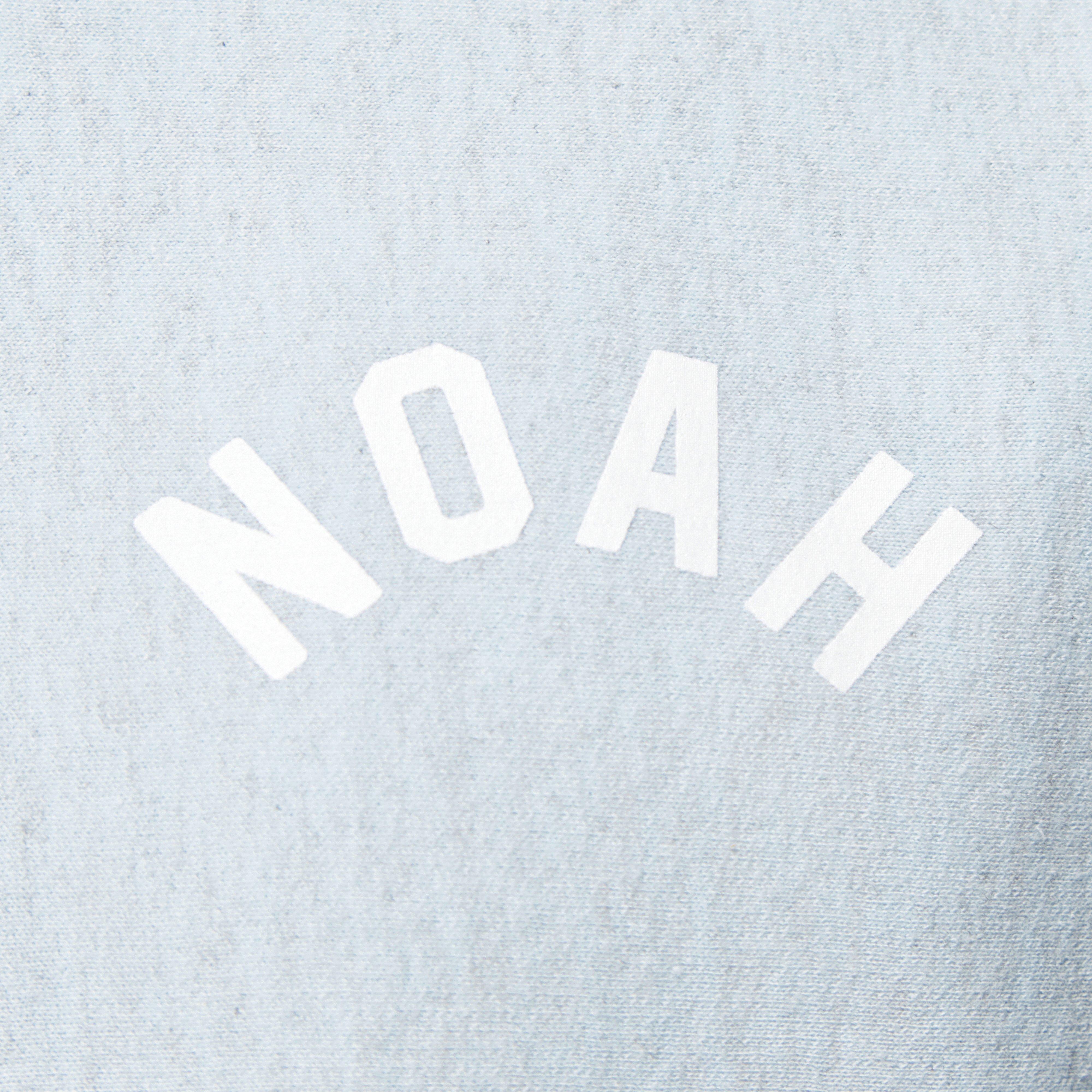 Noah Pastel Heather Hoodie