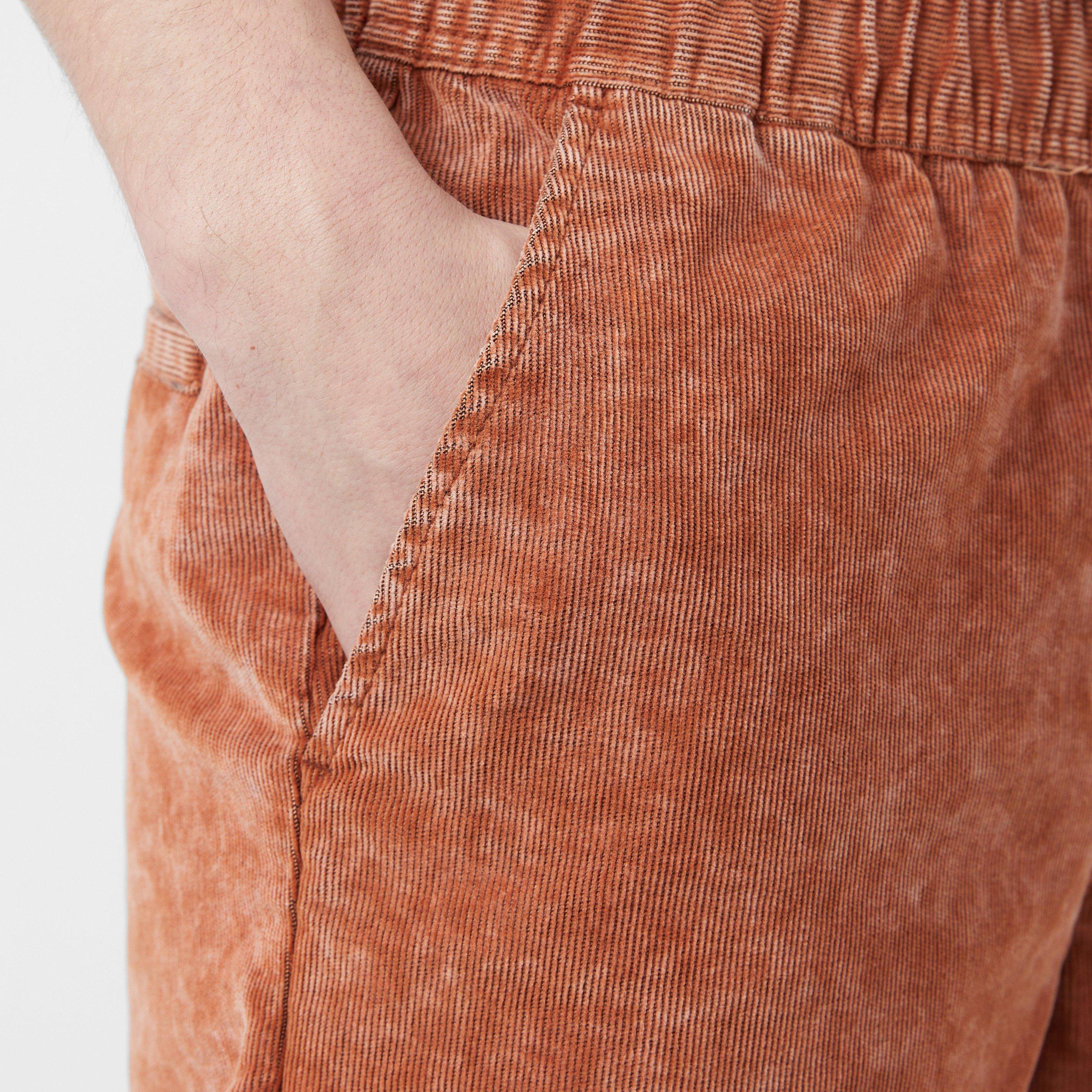 Dickies Chase City Shorts