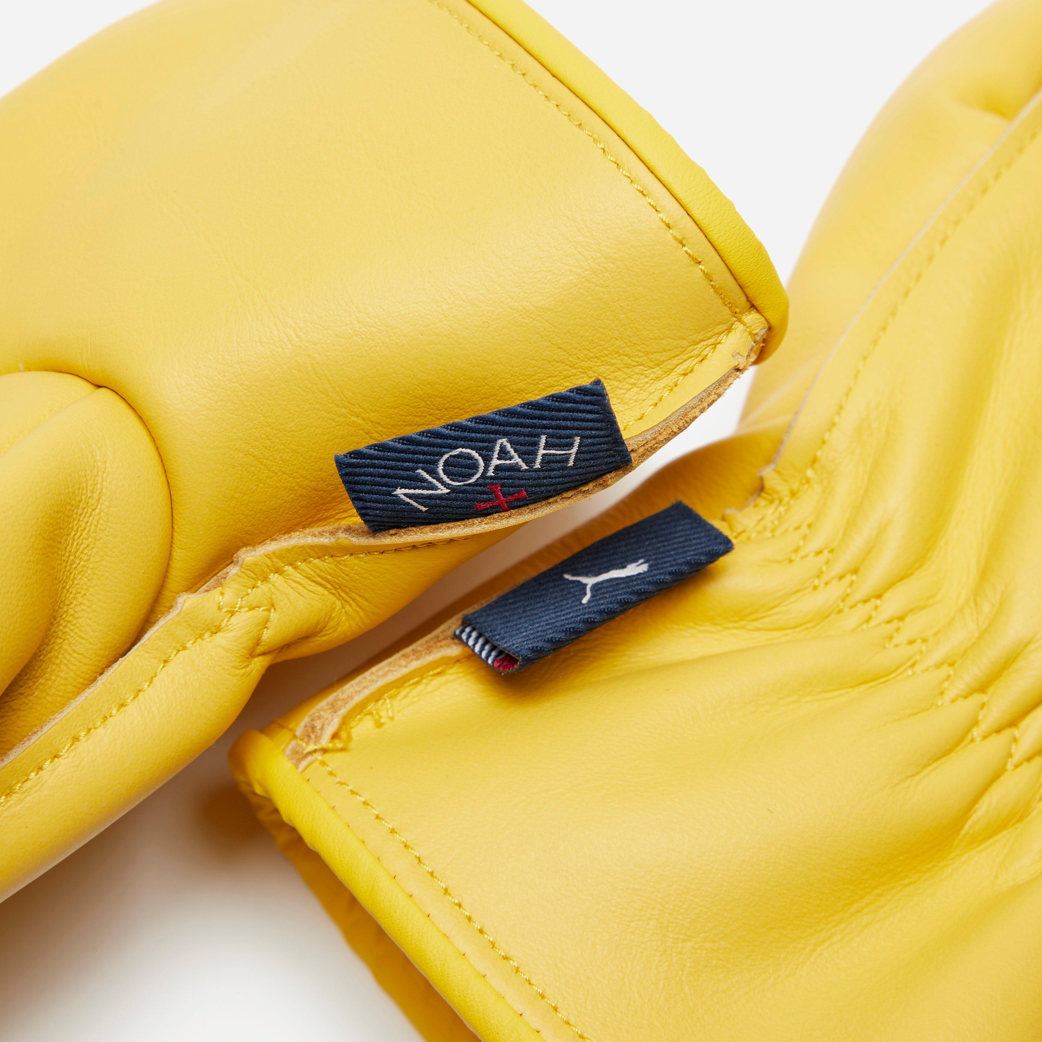 PUMA x Noah Gloves