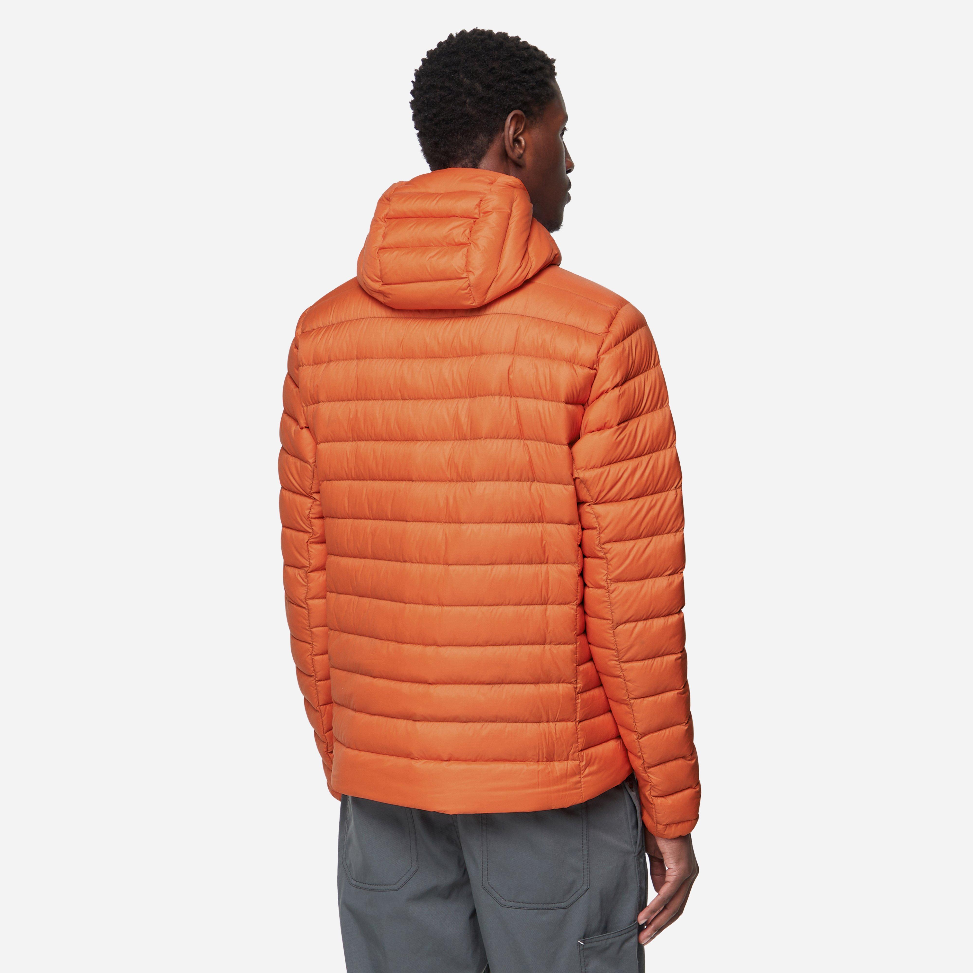 Patagonia Down Sweater Hooded Jacket