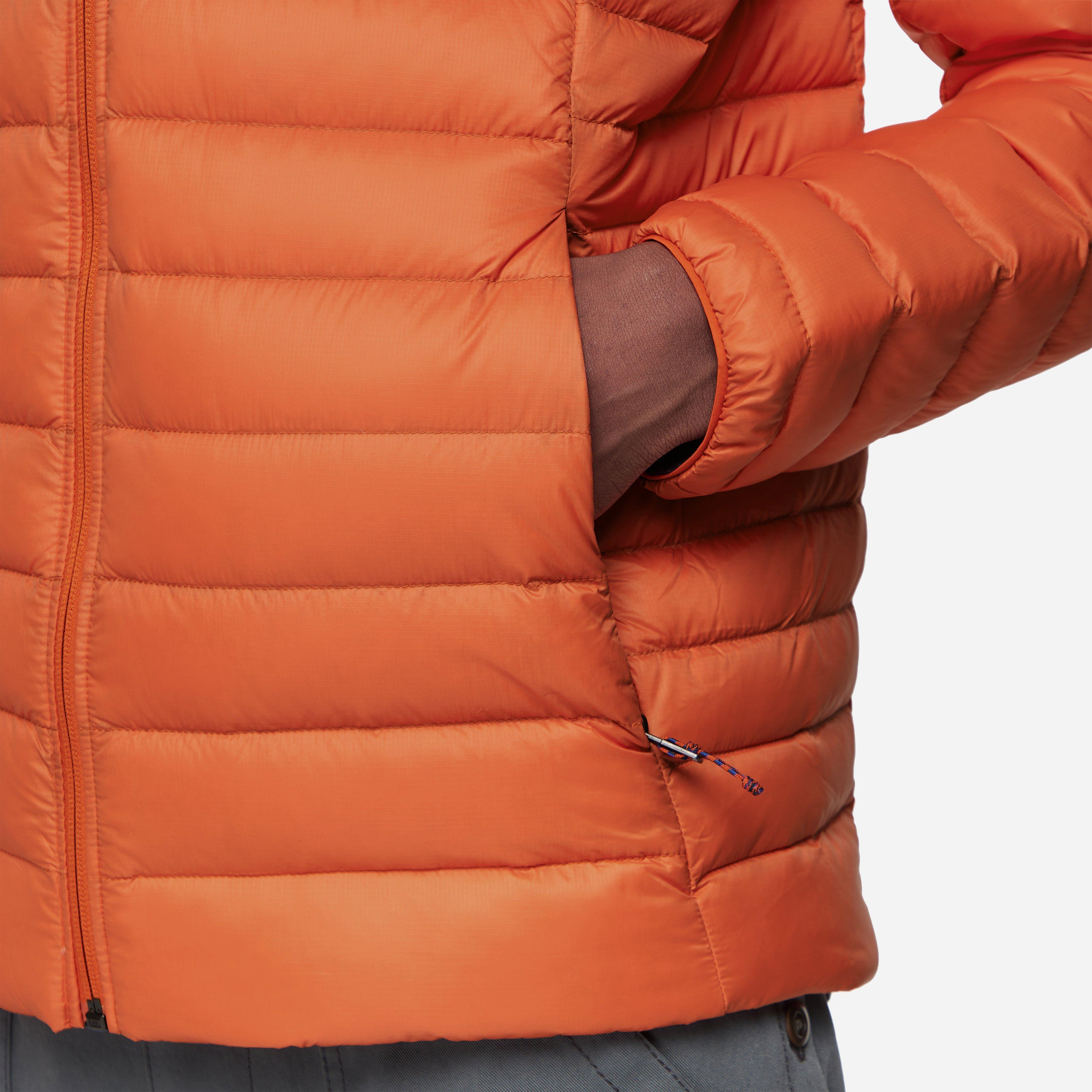 Patagonia Down Sweater Hooded Jacket