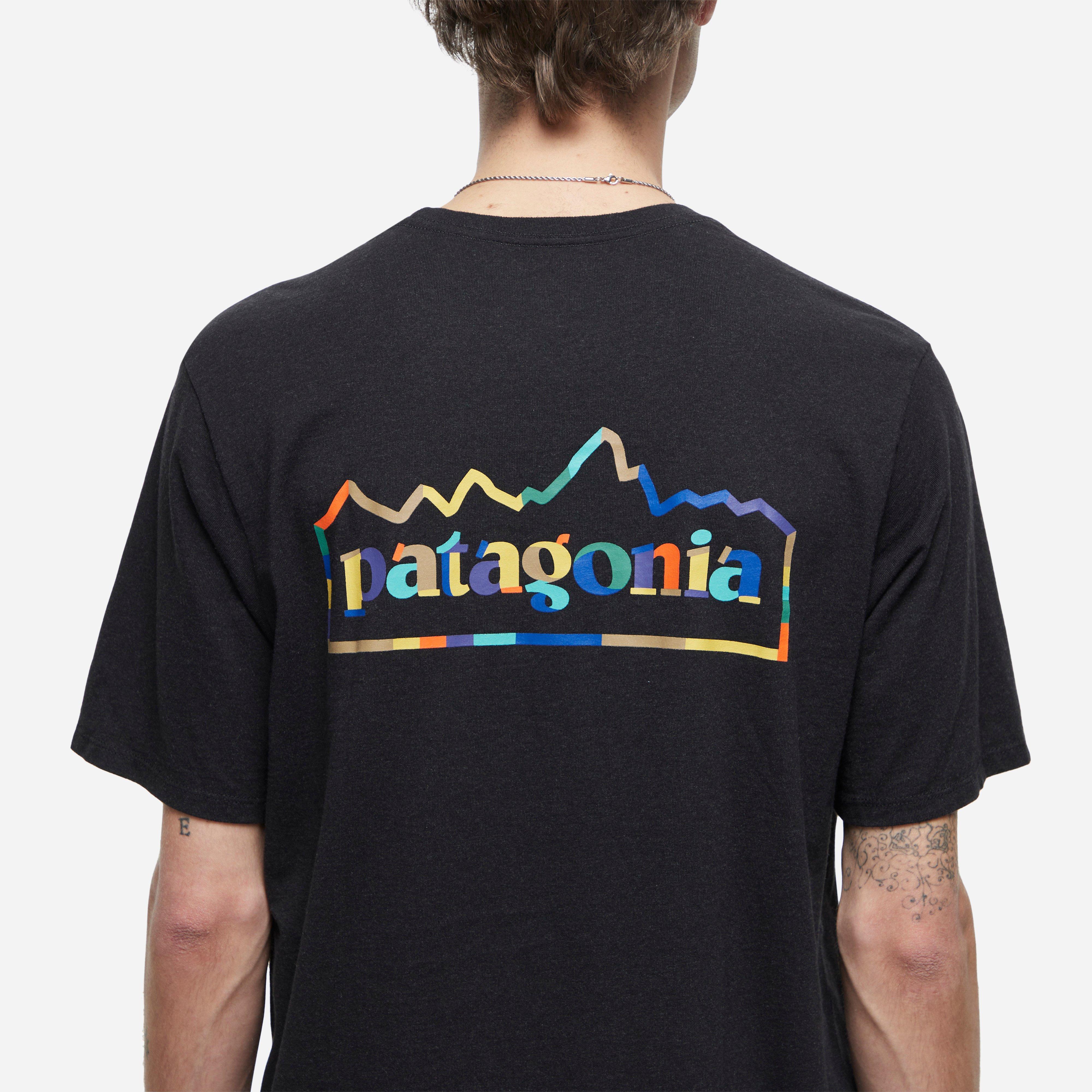 Patagonia Unity Fitz Responsibili-Tee T-Shirt