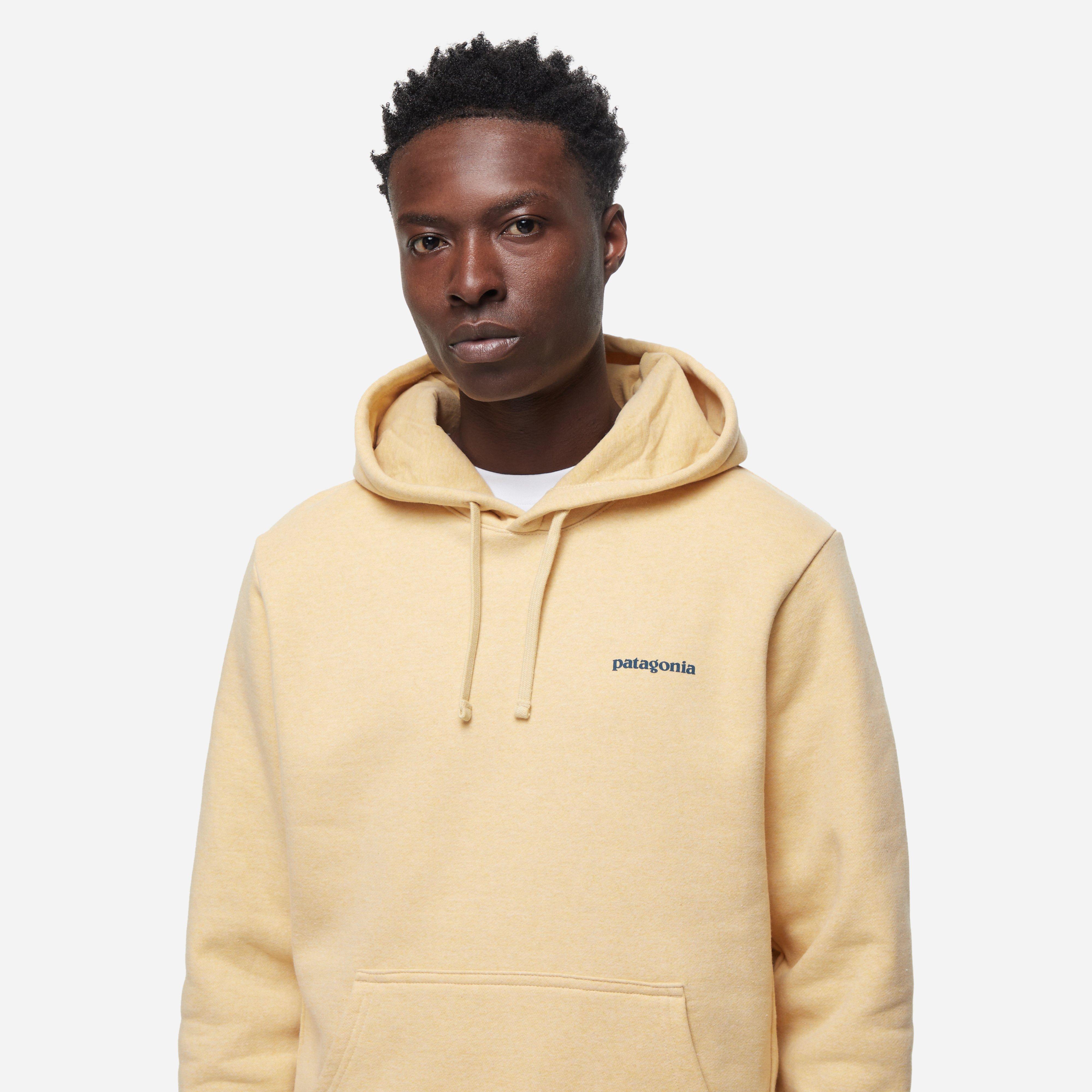 Patagonia Boardshort Logo Hoodie